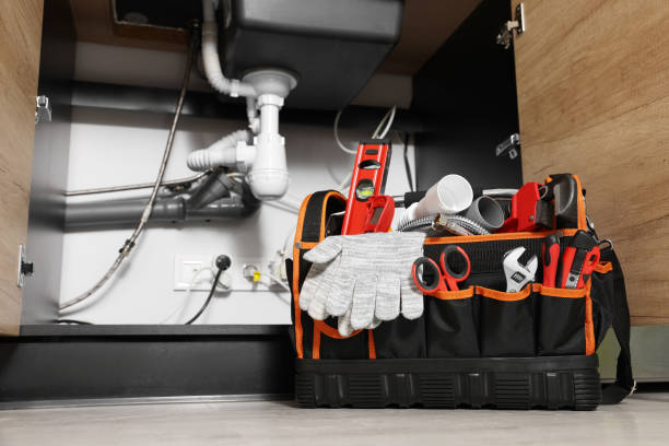 Best Plumbing Services Near Me  in Kewanee, IL